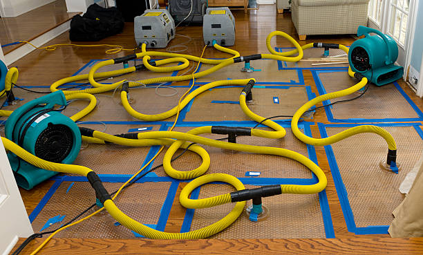 Professional Sewage Cleanup technician working in Wilkeson, WA